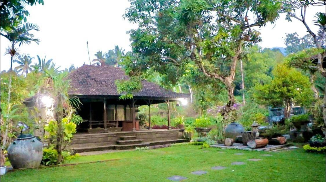 Mesari Cottage Guest House Pabean Buleleng Eksteriør billede